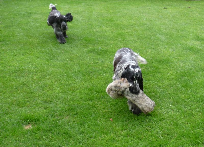 020-Bessy a Domik.JPG